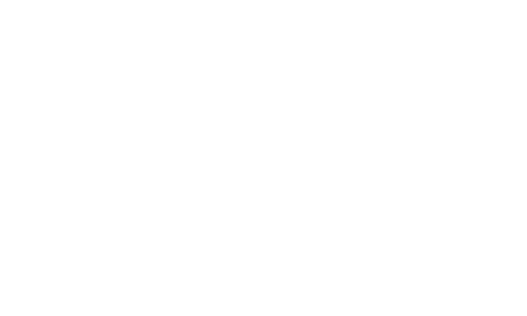 the wet print